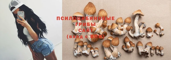 синтетический гашиш Белокуриха