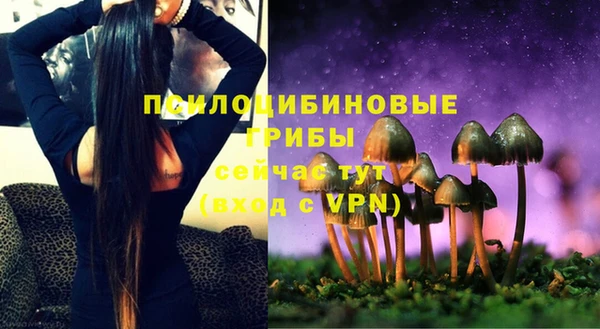 apvp Белоозёрский