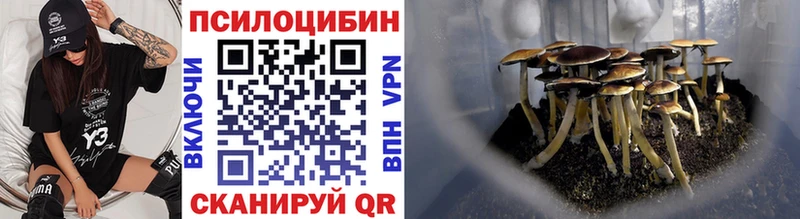 Псилоцибиновые грибы MAGIC MUSHROOMS Брюховецкая